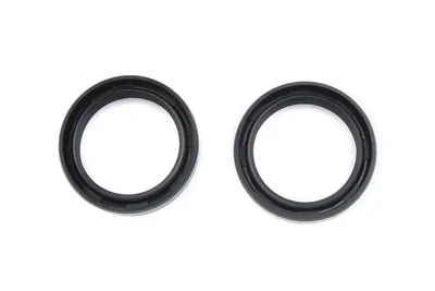 RETENES SAYTO SUSPENSION CBR600/NX4 FALCON/XR250TORNADO 41*54*11 JGO JAPÓN