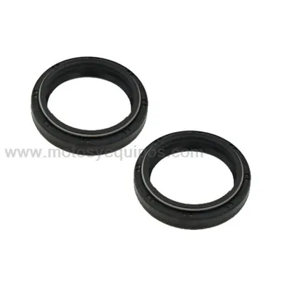 RETENES PROMOTO SUSPENSION FZ16 41*53*10.5 JGO