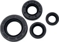 RETENES MASUDA MOTOR (4PZAS) HONDA CBX250/XR250 21.5*36*8 14*28*7 14*22*5 12*18*5