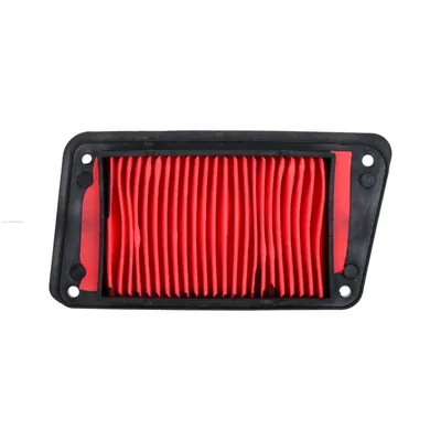 ELEMENTO PROMOTO FILTRO AIRE MOTONETA GTS175