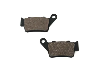 BALATA TRAS DISCO NS200/RS200/DOMINAR400/AS200/AS150/RS200