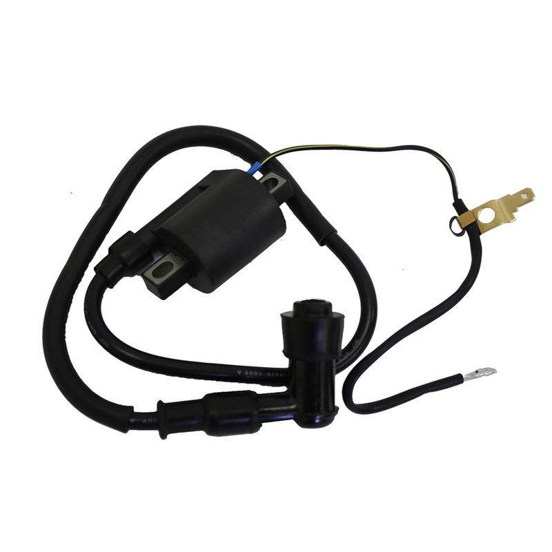 BOBINA DE ARRANQUE CGL125 TOOL 12-19 (WSTD)