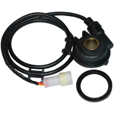 ARAŃA VEL ALESSIA ELECTRONICO 250Z 16-17/250Z 17 NEGRA