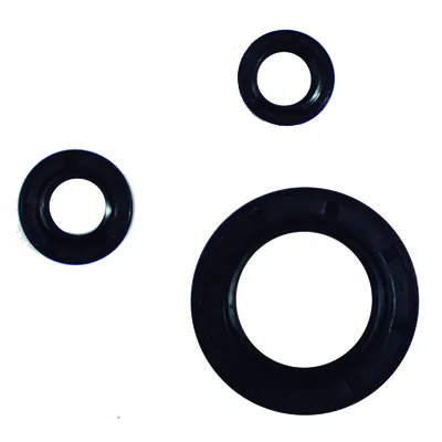 RETENES ALESSIA MOTOR V-200 18 / VORTX-200 18 / VX-250 ADVENTURE 16-18 / VX-250 EFI 18 / FORZA 150 06-08 / RT-200 09-13