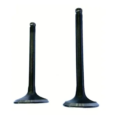 VALVULA PROMOTO ADM/ESC AT125 17-18