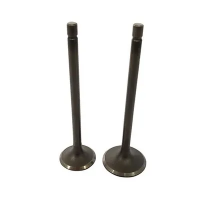 VALVULA PROMOTO ADM/ESC 170Z