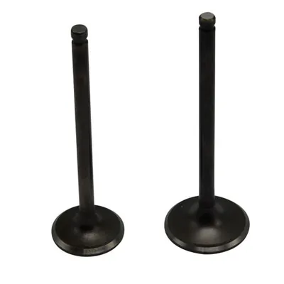 VALVULA PROMOTO ADM/ESC 250Z