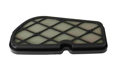 ELEMENTO SAYTO FILTRO AIRE D125/VITALIA 125 2019/X125