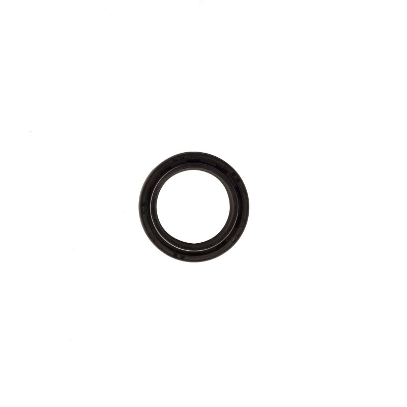 RETENES ROGMAR SUSPENSION GN125F 32*44*10.5 PZA 15-19