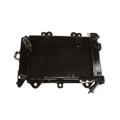 RADIADOR P/ NS200