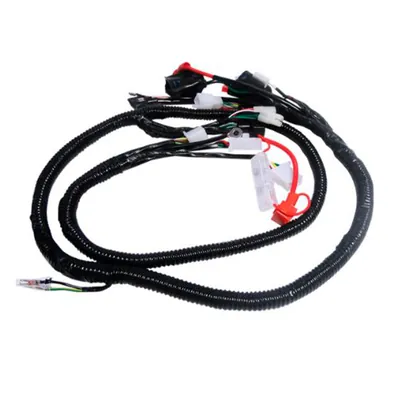 ARNES PRIMARIO DS125