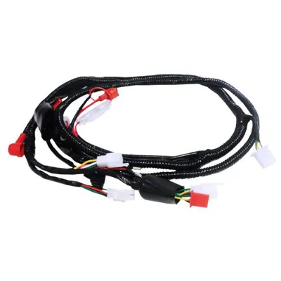ARNES COMPLETO DS150/DABOLO150