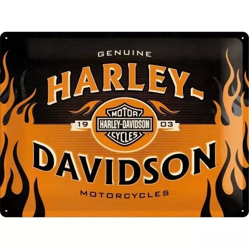 CARTEL 30 X 40 HARLEY DAVIDSON 1903