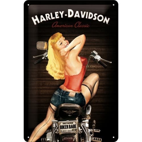 CARTEL 20X30 HARLEY BIKER BABE