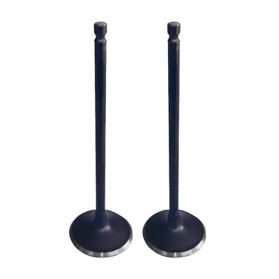 VALVULA PROMOTO ADM NS200 (2 PIEZAS) PROMOTO
