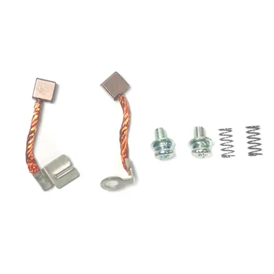 CARBONES 12V P/ FZ 16 2.0 (JUEGO)