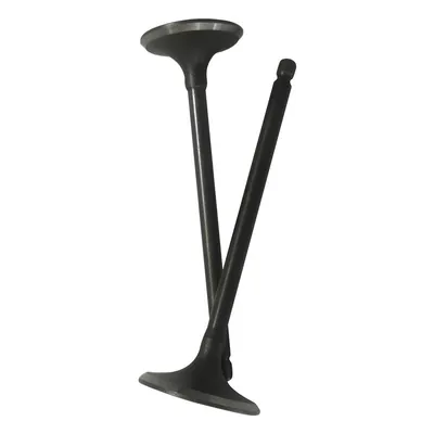 VALVULA PROMOTO ADM/ESC BAJAJ BOXER 150