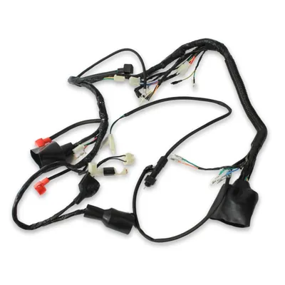 ARNES SAYTO FT200TS 19-21