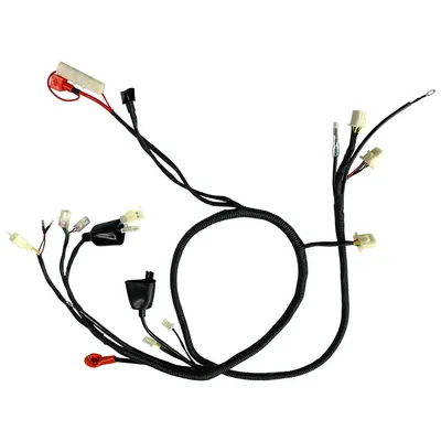 ARNES PROMOTO DS150