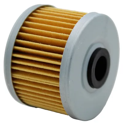 FILTRO ALEESSIA ACEITE  VORTX 300 17-24/VORTX 300R 21-24