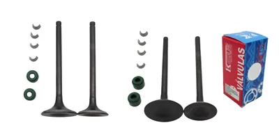 VALVULA ALESSIA ADM/ESC 250SZ 15/DT250SP 20/FIERA250 18-19/FT250 15-16/FT250 TS 16-20/TC250 15-20/250Z 14-17/250Z NE 17-19