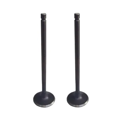 VALVULA PROMOTO ESC NS200 (2 PZAS)