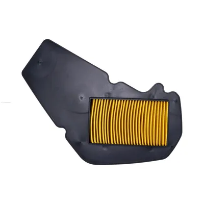 ELEMENTO PROMOTO FILTRO AIRE VENTO TERRA X150 (MOTONETA)