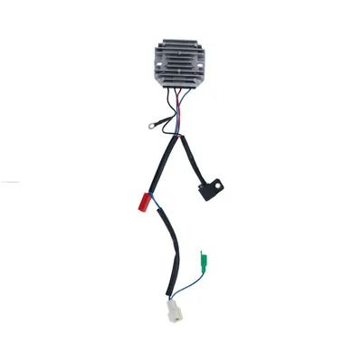 REGULADOR PROMOTO NS200