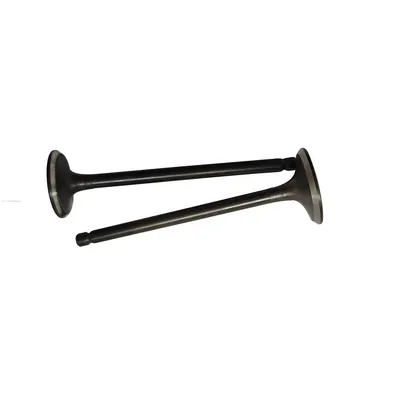 VALVULA PROMOTO ADM/ESC PLATINA 100