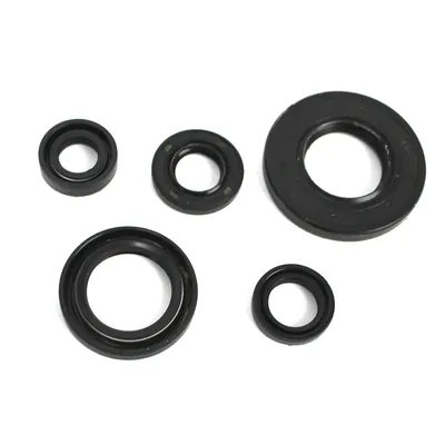 RETENES RODA MOTOR YBR125 C EXPRESS (15-19) 5 PIEZAS (20X38X5 / 20X30X5 / 12X21X4 / 12X18X5 / 10X18X5)