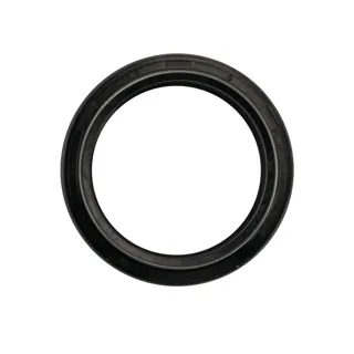 RETENES RODA SUPENSION GIXXER150 20-23 41X53X8/10.5
