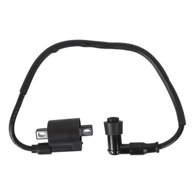 BOBINA DE ARRANQUE FT125 05-12/FT150 13-16 (WSTD)