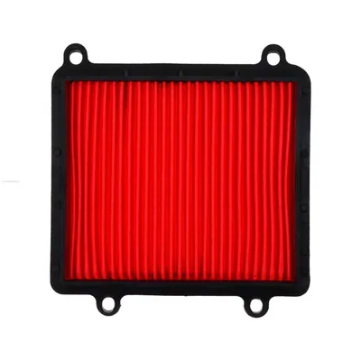 ELEMENTO PROMOTO FILTRO AIRE XR150L