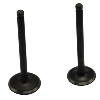VALVULA PROMOTO ADM/ESC D125/DSG125