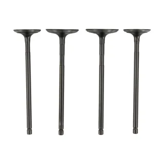 VALVULA WSTD ADM/ESC NS200 (12-23) (WSTD)