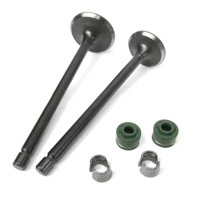 VALVULA RODA ADM/ESC CON SELLOS/CANDADOS ITALIKA 125Z (16-19)