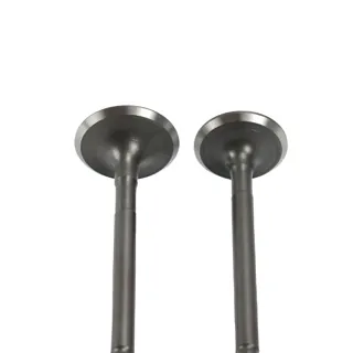 VALVULA WSTD ADM/ESC DS125 (17-18) (WSTD)