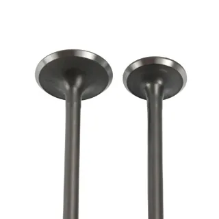VALVULA WSTD ADM/ESC CGL125 TOOL (12-19) / ITALIKA FT 125 (05-12) (WSTD)