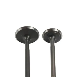 VALVULA WSTD ADM/ESC DS150 (06-18) (WSTD)