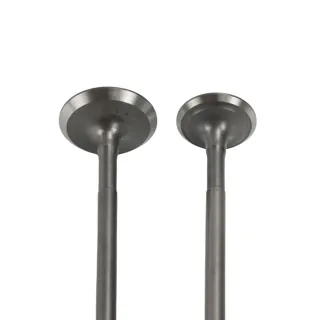 VALVULA WSTD ADM/ESC FL125 (13-19) (WSTD)