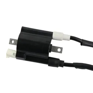 BOBINA DE ARRANQUE DOBLE NS200 12-23 (WSTD)