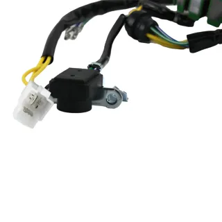 ESTATOR RODA 18 BOBINAS 250Z 19-24 TRIFASICO