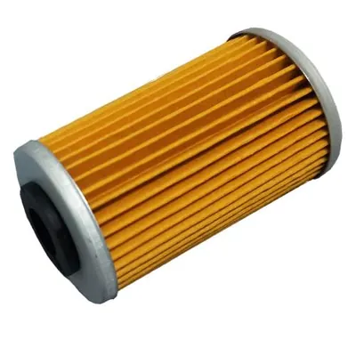 FILTRO PROMOTO ACEITE NS200