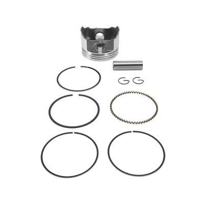 PISTON WSTD 0.00 ESTANDAR XEVERUS 250 (21) (PERNO 15MM)