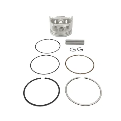 PISTON WSTD 0.00 ESTANDAR ROCKETMAN250 20-21/CROSSMAX250 20-21 (PERNO 13MM)