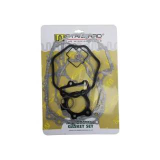 EMPAQUES WSTD MOTOR NS 160 (19-24)