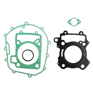 EMPAQUES WSTD MOTOR NS 200 (12-23)