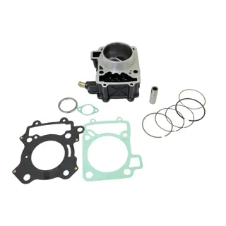 KIT CILINDRO WSTD BAJAJ PULSAR NS 200 (12-23)