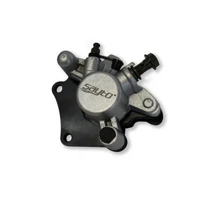 CALIPER DEL SAYTO BWS125