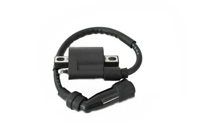 BOBINA DE ARRANQUE VORTX 200